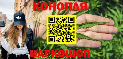 шишки Нарткала