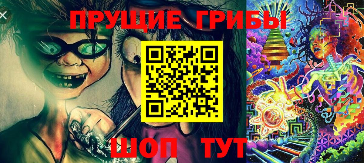 Псилоцибиновые грибы Psilocybe Павлово