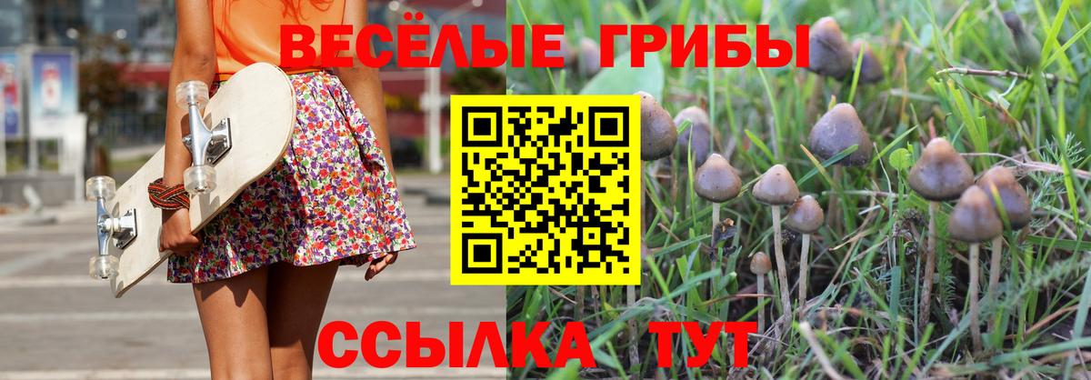 Лсд 25 Павлово
